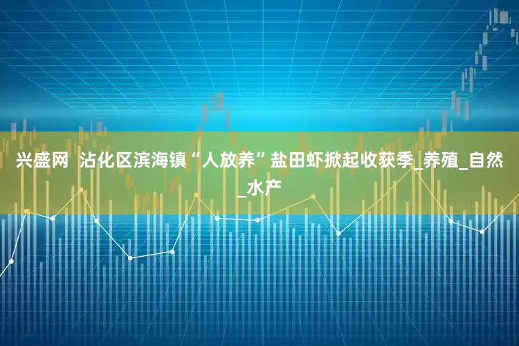 兴盛网  沾化区滨海镇“人放养”盐田虾掀起收获季_养殖_自然_水产