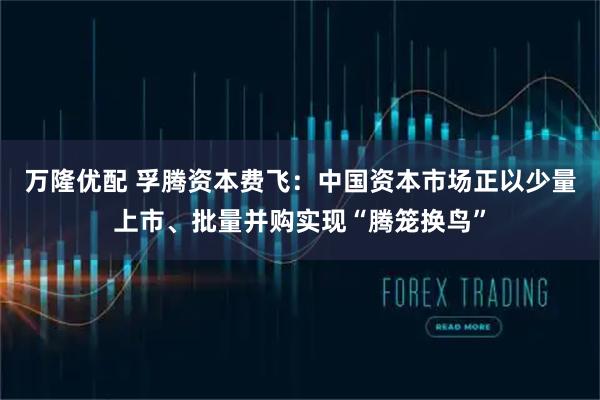 万隆优配 孚腾资本费飞：中国资本市场正以少量上市、批量并购实现“腾笼换鸟”